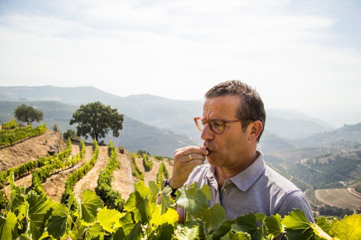 Portugiesisches Weingut Vicente Faria - Gustomo - internationale Weine und Delikatessen