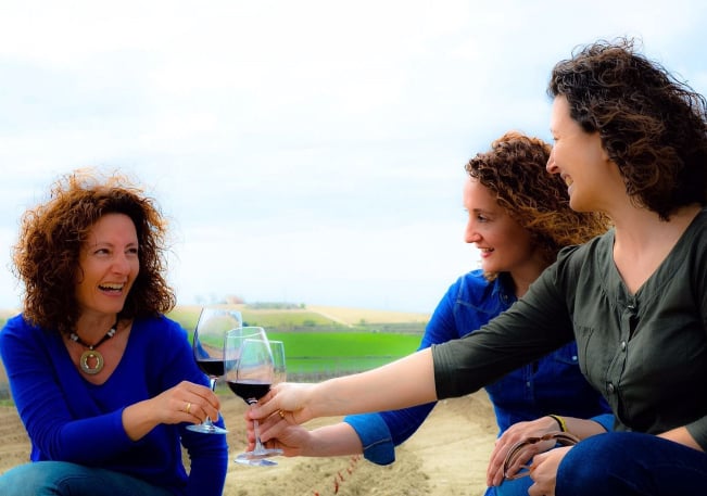 Weingut Meler aus der Region D.O. Somontano - Spanien - Gustomo - internationale Weine und Delikatessen