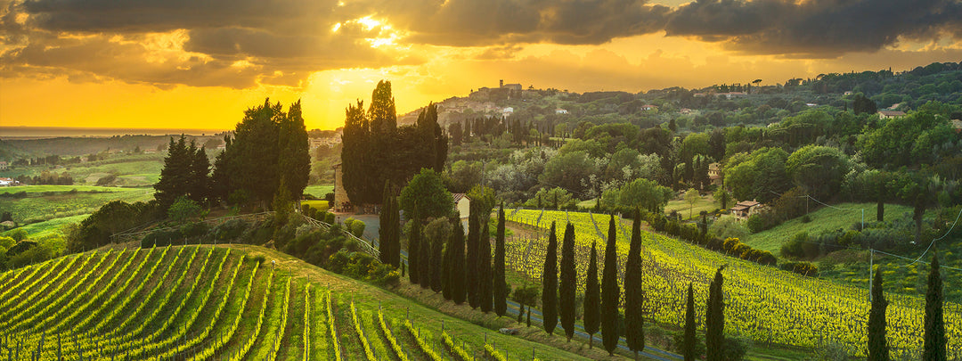 Weine aus Italien | Gustomo Shop