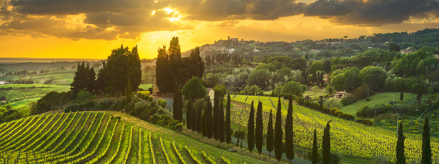 Weine aus Italien | Gustomo Shop